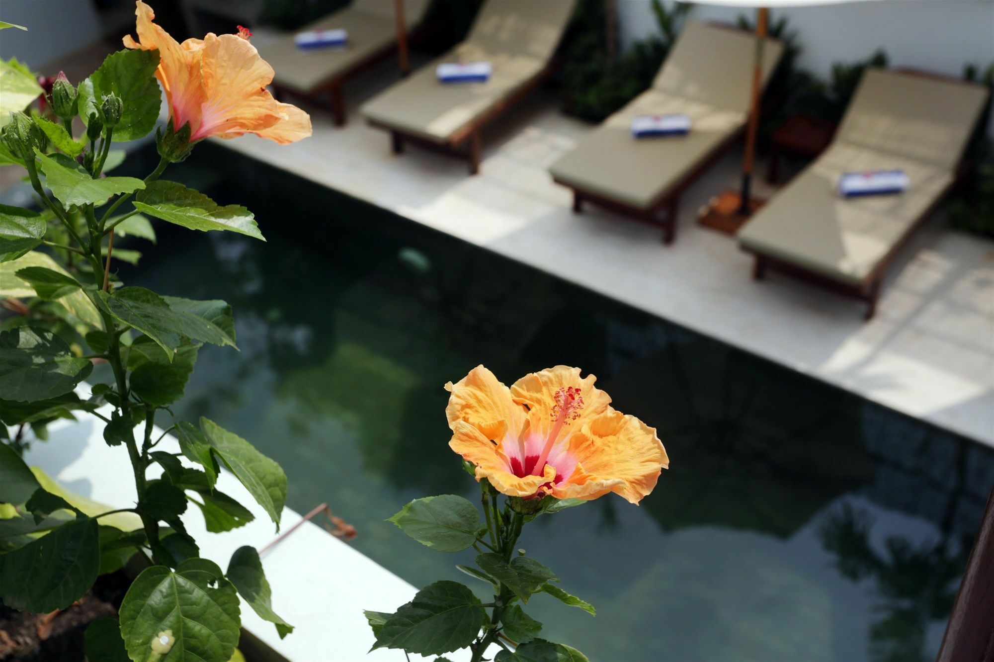 Sam So Boutique Villa Siem Reap Bagian luar foto